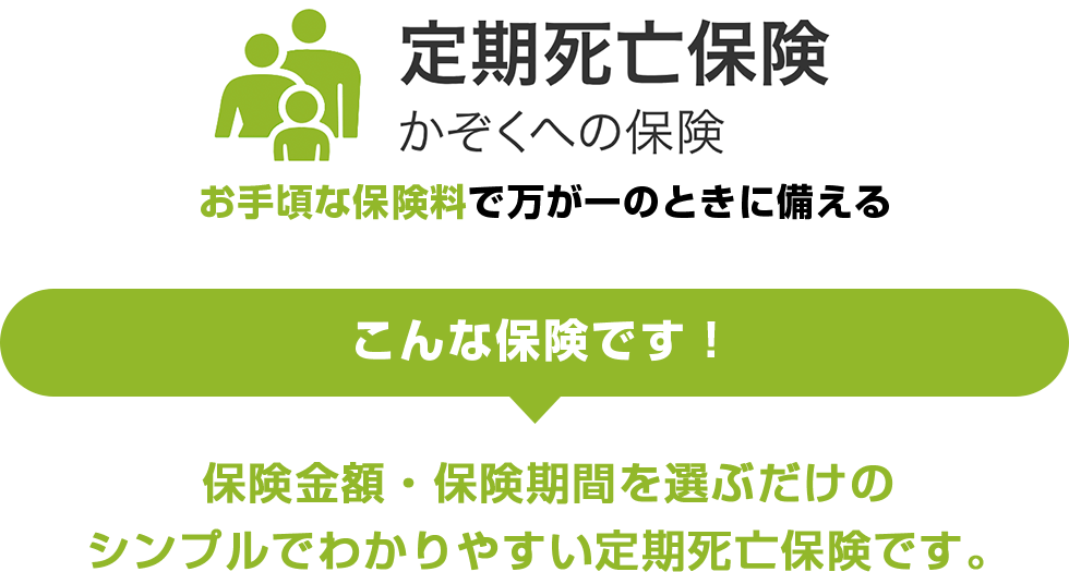 定期死亡保険 かぞくの保険 お手頃な保険料で万が一のときに備える こんな保険です！ 保険金額・保険期間を選ぶだけのシンプルでわかりやすい定期死亡保険です。