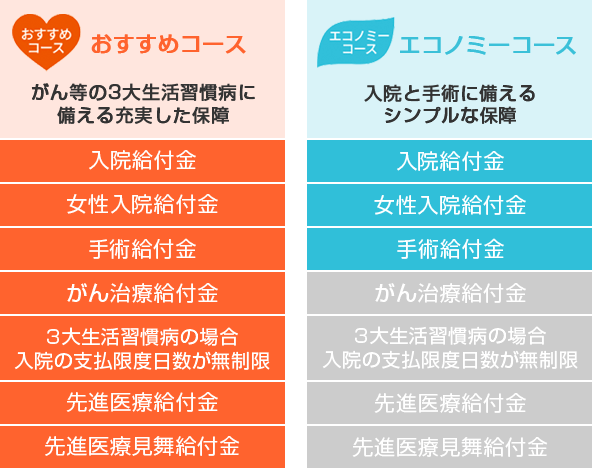 おすすめコース：がん等の3大生活習慣病に備える充実した保障 入院給付金・女性入院給付金・手術給付金・がん治療給付金・3大生活習慣病の場合入院の支払限度日数が無制限・先進医療給付金・先進医療見舞給付金 エコノミーコース：入院と手術に備えるシンプルな保障 入院給付金・女性入院給付金・手術給付金