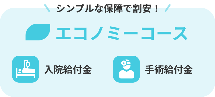 シンプルな保障で割安エコノミーコース（入院給付金・手術給付金）