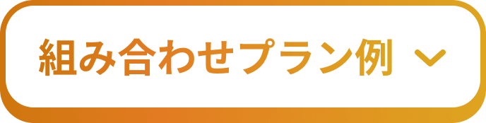 組み合わせプラン例