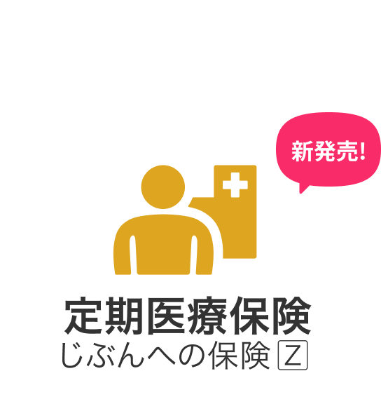 保険期間が10年から選べる 定期医療保険 じぶんへの保険Z