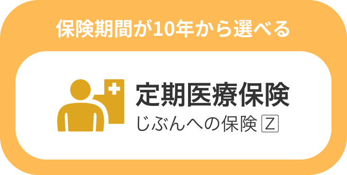 保険期間が10年から選べる 定期医療保険 じぶんへの保険Z