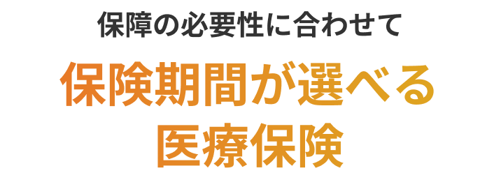 保障の必要性に合わせて保険期間が選べる医療保険