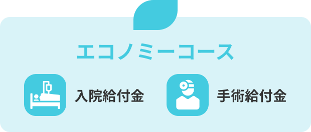 エコノミーコース：入院給付金・手術給付金