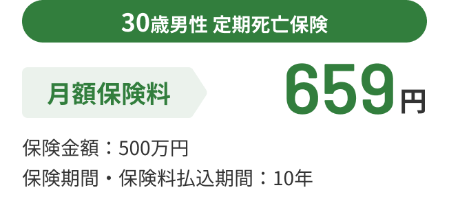 30歳男性 定期死亡保険 月額保険料659円 保険金額 : 500万円 保険期間・保険料払込期間 :10年