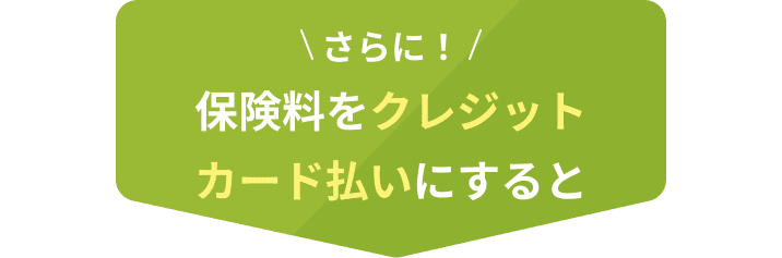 保険料をクレジットカード払いにすると