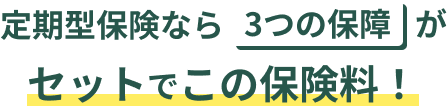 定期型保険なら3つの保障がセットでこの保険料！