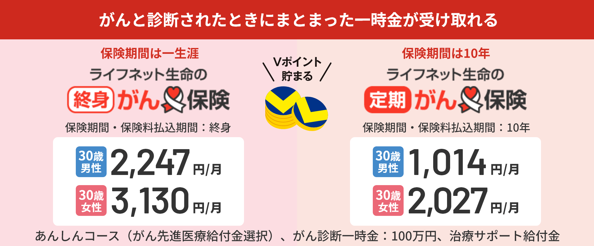 Vポイントが貯まる保険｜ライフネット生命