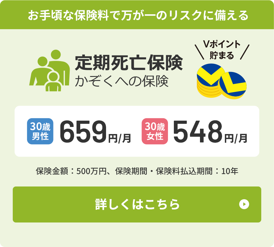 定期死亡保険（かぞくへの保険）