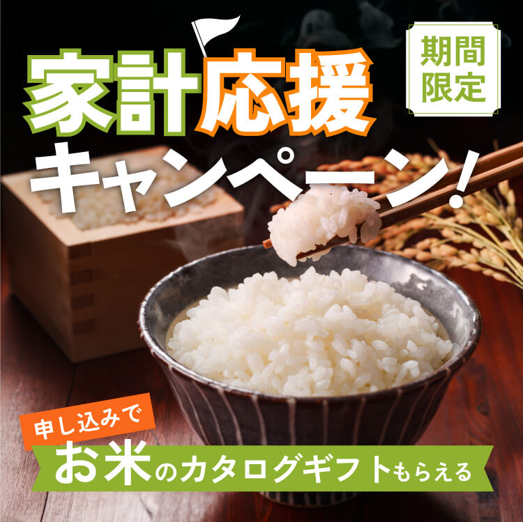 期間限定 家計応援キャンペーン 申し込みでお米のカタログギフトもらえる