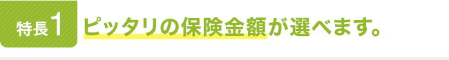 特長1。ピッタリの保険金額が選べます。