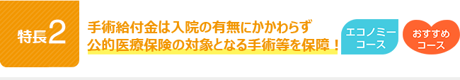 特長2。手術給付金は入院の有無にかかわらず公的医療保険の対象となる手術等を保障！