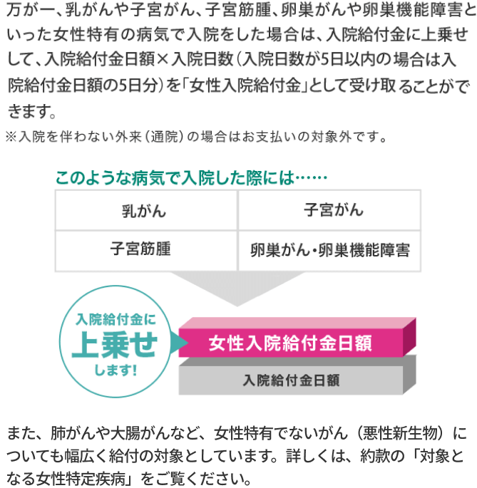 万が一、乳がんや子宮がん、子宮筋腫、卵巣がんや卵巣機能障害といった女性特有の病気で入院をした場合は、入院給付金に上乗せして、入院給付金日額×入院日数（支払限度日数以内）を「女性入院給付金」として受け取ることができます。※入院を伴わない外来（通院）の場合はお支払いの対象外です。また、肺がんや大腸がんなど、女性特有でないがん（悪性新生物）についても幅広く給付の対象としています。詳しくは、約款の「対象となる女性特定疾病」をご覧ください。