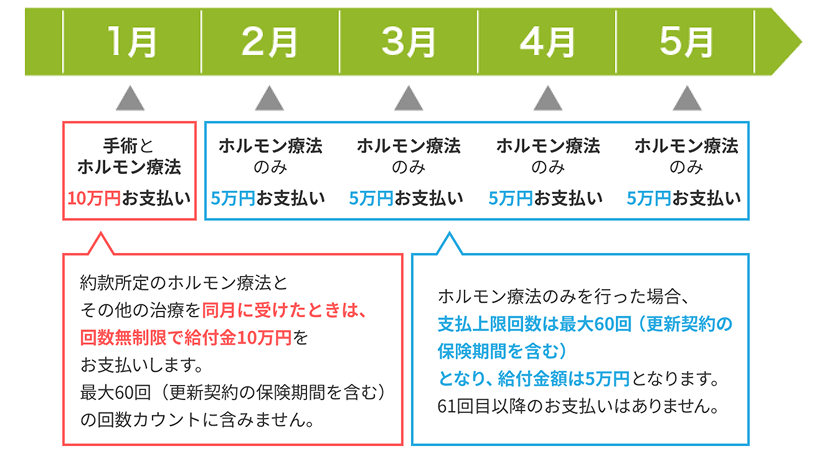 約款所定のホルモン療法とその他の治療を同月に受けたときは、回数無制限で給付金10万円をお支払いします。最大60回の回数カウントに含みません。ホルモン療法のみを行った場合、支払上限回数は最大60回(定期がん保険の場合更新後契約を含む)となり、給付金額は5万円となります。61回目以降のお支払いはありません。