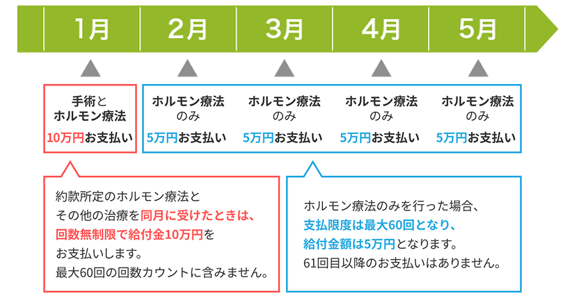 約款所定のホルモン療法とその他の治療を同月に受けたときは、回数無制限で給付金10万円をお支払いします。最大60回の回数カウントに含みません。ホルモン療法のみを行った場合、支払上限回数は最大60回となり、給付金額は5万円となります。61回目以降のお支払いはありません。