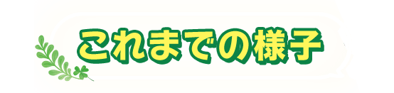 これまでの様子