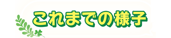 これまでの様子