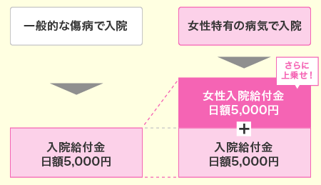 女性特有の病気には入院給付金を上乗せ