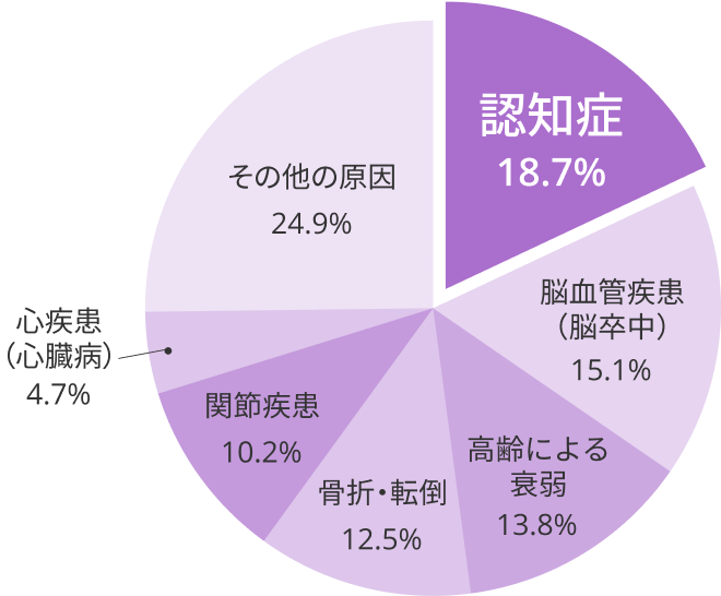 介護が必要となった主な原因の構成割合　認知症：18.7％　脳血管疾患（脳卒中）：15.1％　高齢による衰弱：13.8％　骨折・転倒：12.5％　関節疾患：10.2％　心疾患（心臓病）：4.7％　その他の原因：24.9％