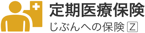 定期医療保険 じぶんへの保険Z