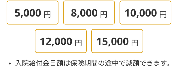 5,000円 8,000円 10,000円 12,000円 15,000円 入院給付金日額は保険期間の途中で減額できます。