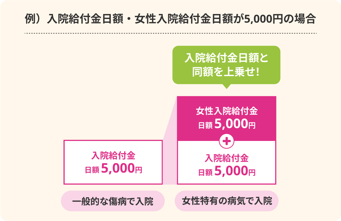 例）入院給付金日額・女性入院給付金日額が5,000円の場合 一般的な傷病で入院：入院給付金日額5,000円 女性特有の病気で入院：女性入院給付金日額5,000円＋入院給付金日額5,000円 入院給付金日額と同額を上乗せ！
