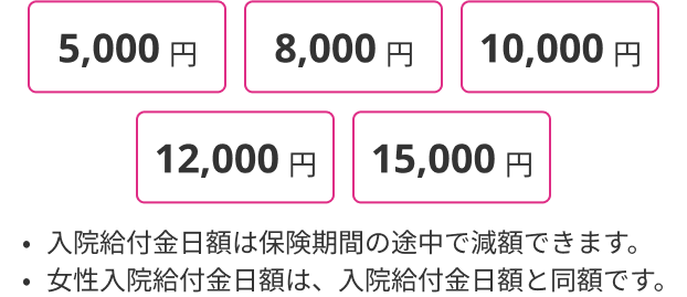5,000円 8,000円 10,000円 12,000円 15,000円 入院給付金日額は保険期間の途中で減額できます。女性入院給付金日額は、入院給付金日額と同額です。