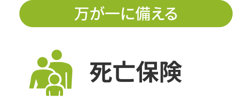 定期死亡保険「かぞくへの保険」